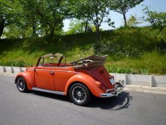 topic image thumbnail