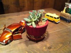 topic image thumbnail