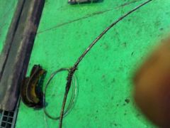 topic image thumbnail